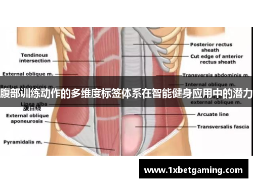 腹部训练动作的多维度标签体系在智能健身应用中的潜力